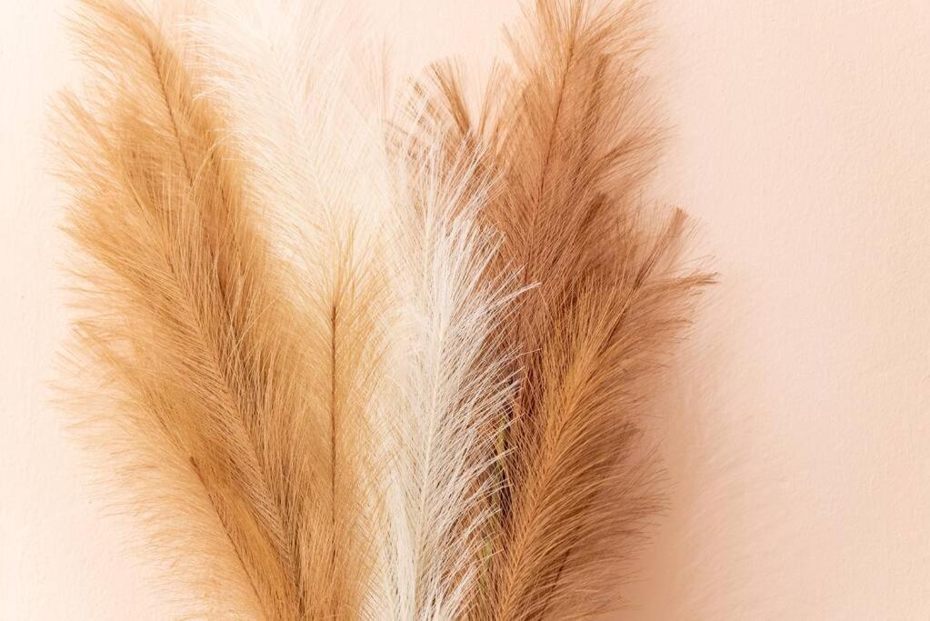 アテネModern African-Inspired Flatアパートメント エクステリア 写真